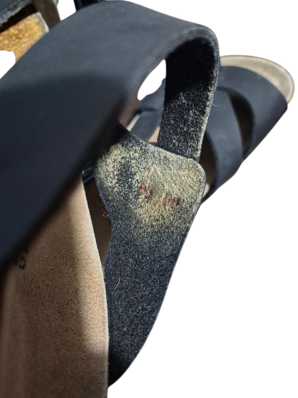 Birkenstock Women's Pisa - Picture 10 of 10